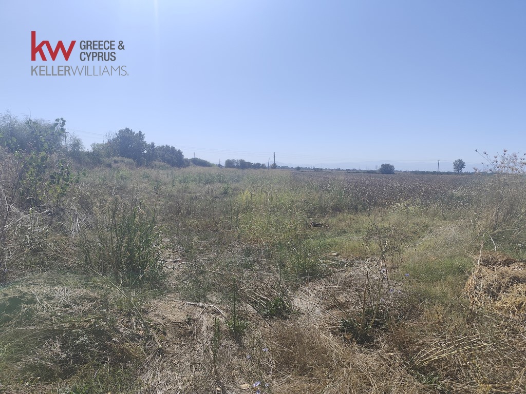 1847096 - Αγροτεμάχιο Προς Πώληση, Παλαμάς, 6.440 τ.μ., €13.500