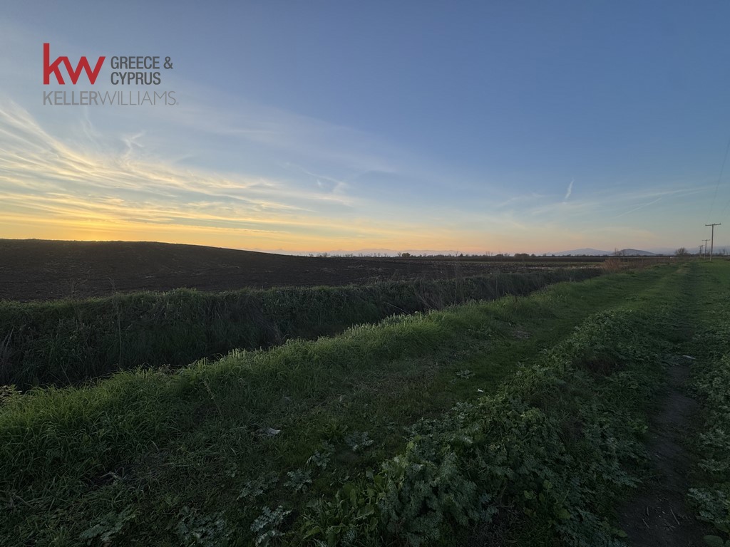 2032741 - Αγροτεμάχιο Προς Πώληση, Άρνη, 12.200 τ.μ., €20.000