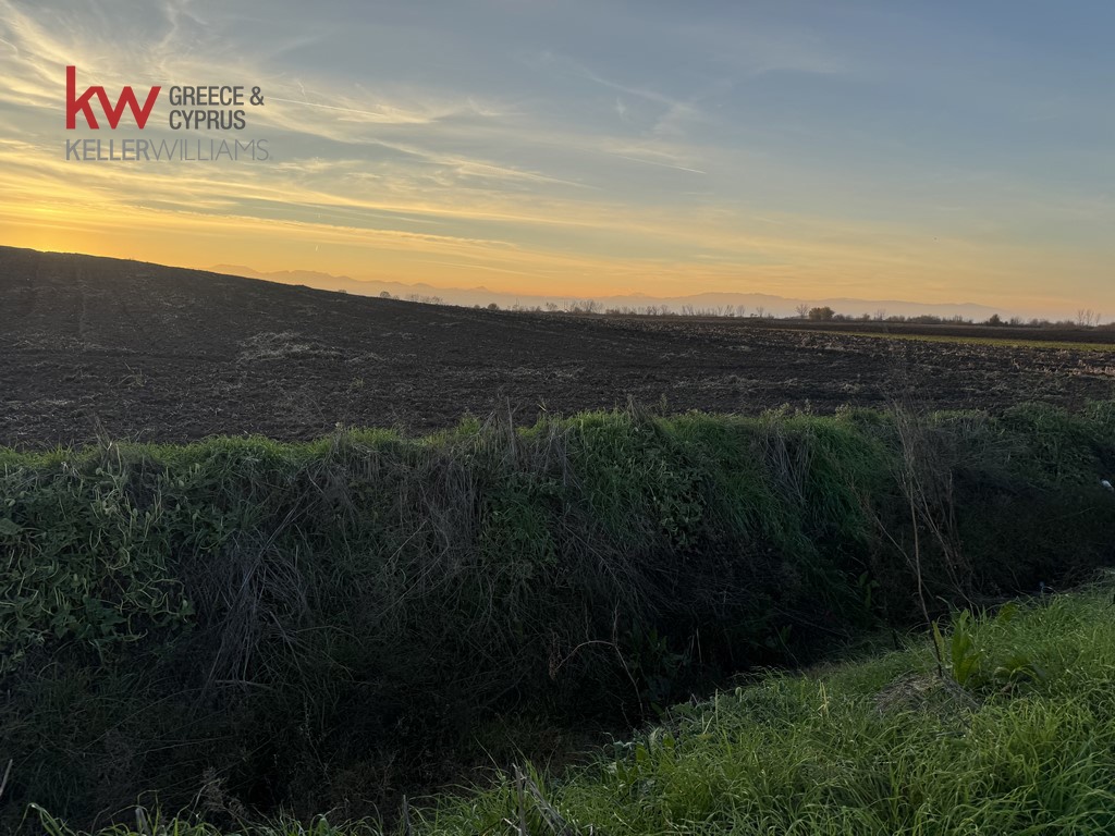 2032741 - Αγροτεμάχιο Προς Πώληση, Άρνη, 12.200 τ.μ., €20.000
