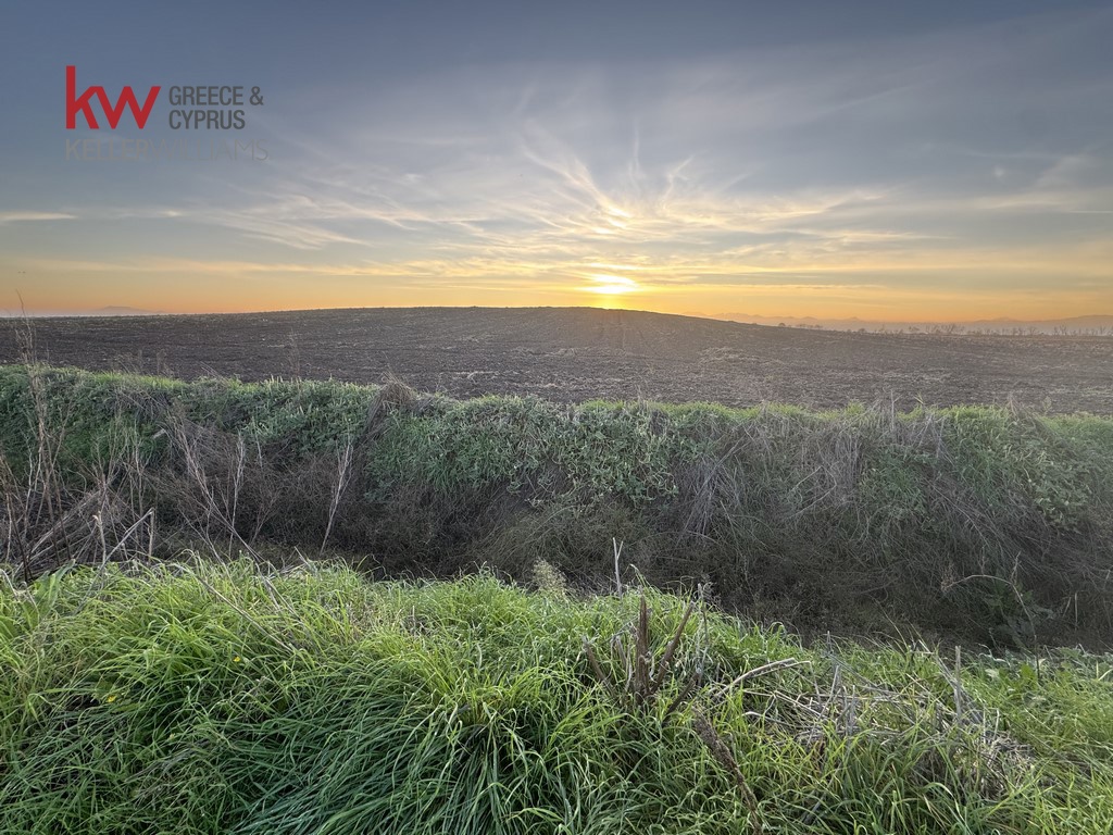 2032741 - Αγροτεμάχιο Προς Πώληση, Άρνη, 12.200 τ.μ., €20.000