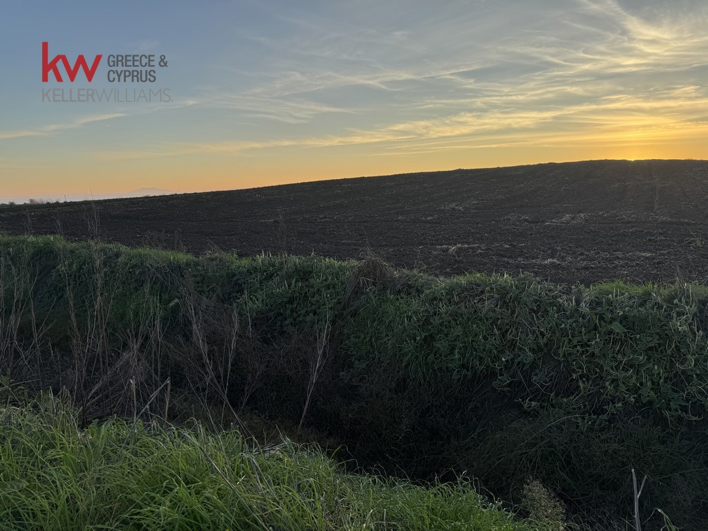 2032741 - Αγροτεμάχιο Προς Πώληση, Άρνη, 12.200 τ.μ., €20.000