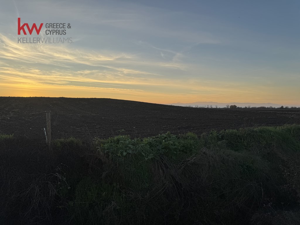 2032741 - Αγροτεμάχιο Προς Πώληση, Άρνη, 12.200 τ.μ., €20.000