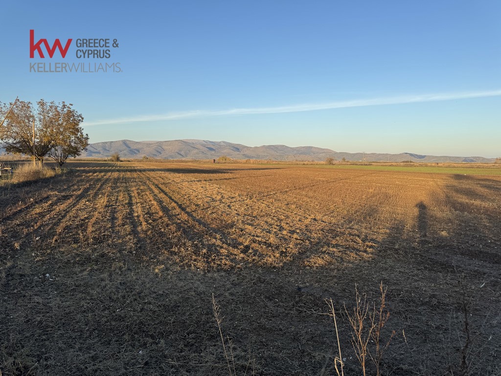 2032742 - Αγροτεμάχιο Προς Πώληση, Φύλλο, 13.375 τ.μ., €40.000