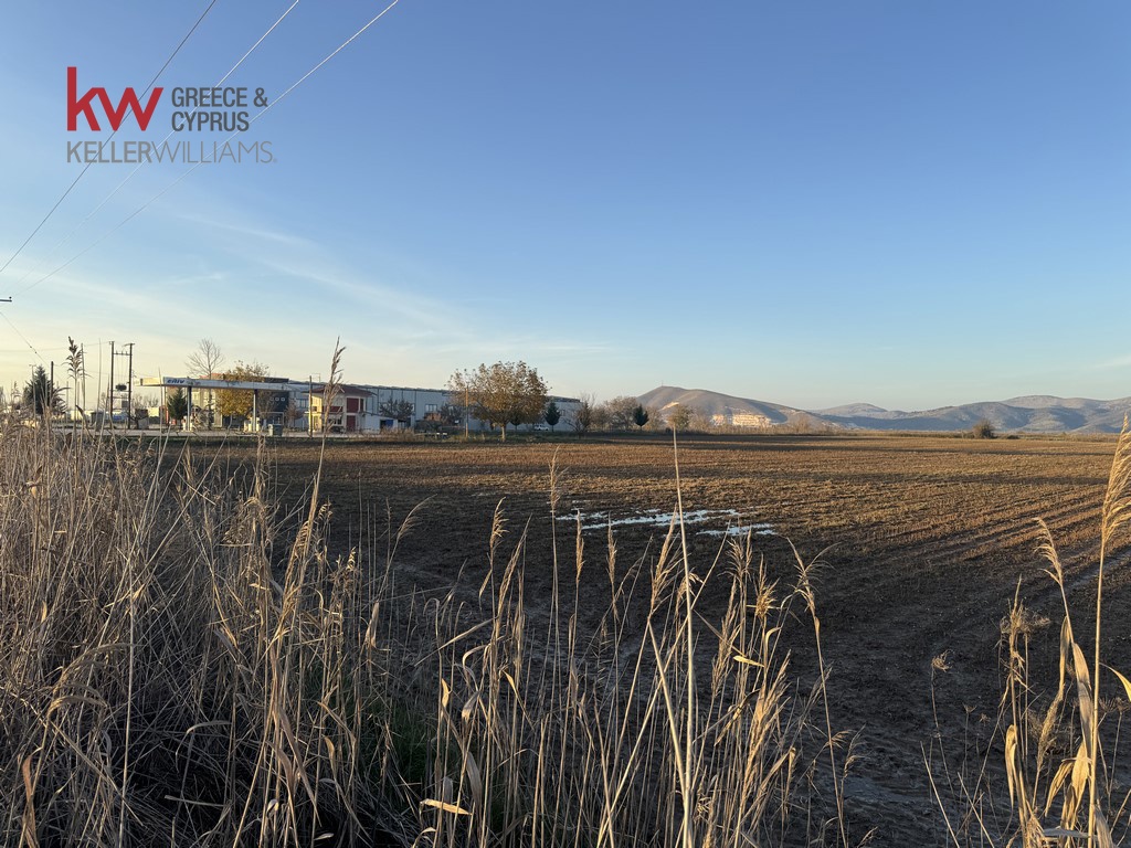 2032742 - Αγροτεμάχιο Προς Πώληση, Φύλλο, 13.375 τ.μ., €40.000