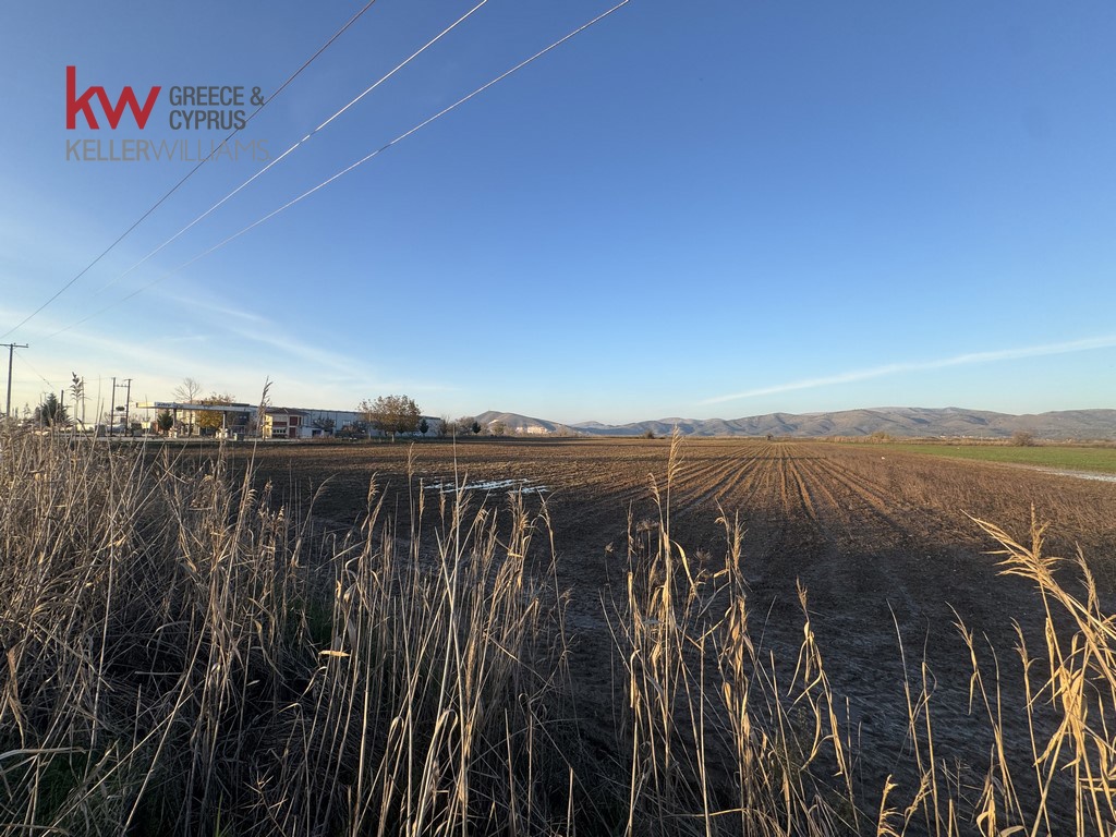 2032742 - Αγροτεμάχιο Προς Πώληση, Φύλλο, 13.375 τ.μ., €40.000