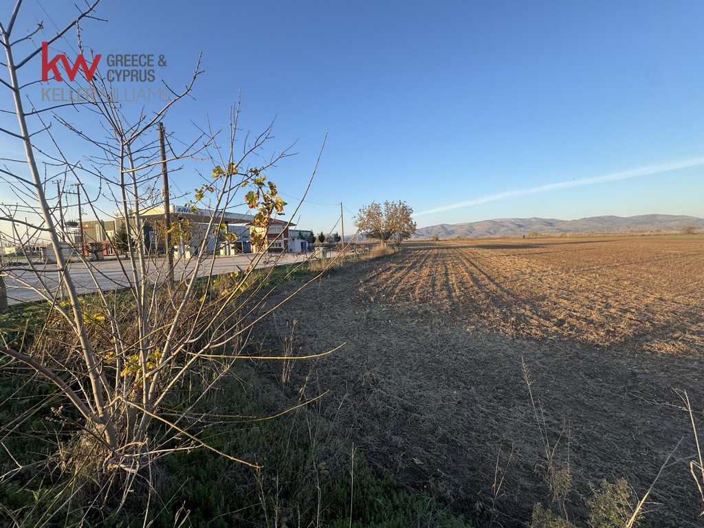 2032742 - Αγροτεμάχιο Προς Πώληση, Φύλλο, 13.375 τ.μ., €40.000