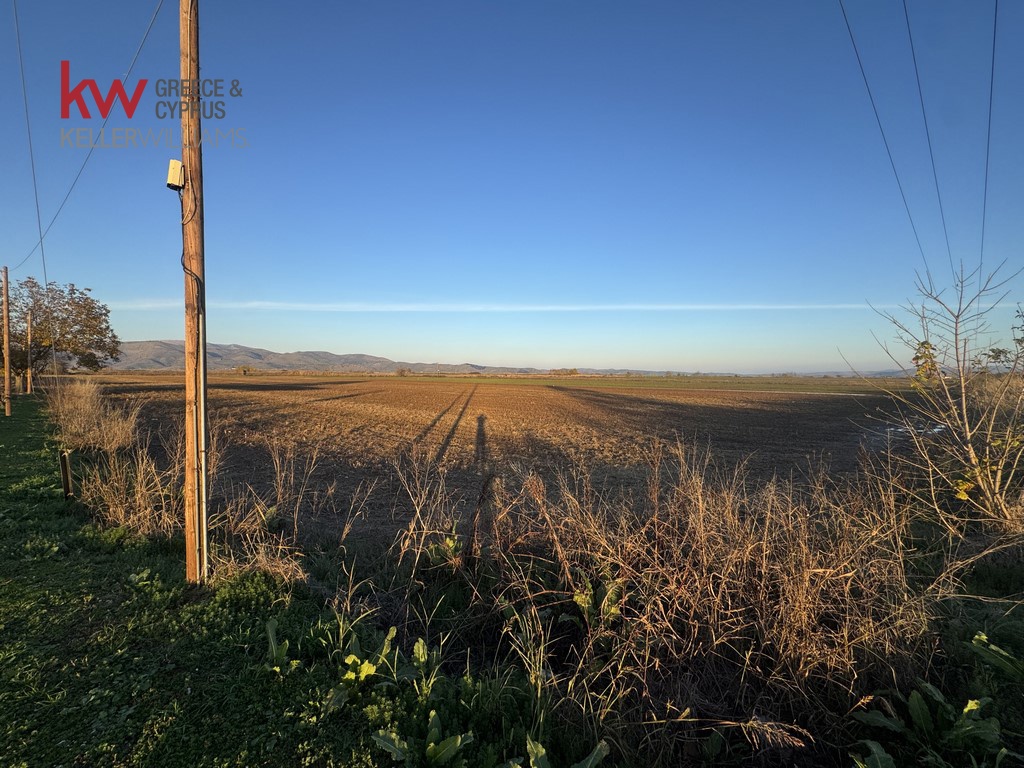 2032742 - Αγροτεμάχιο Προς Πώληση, Φύλλο, 13.375 τ.μ., €40.000