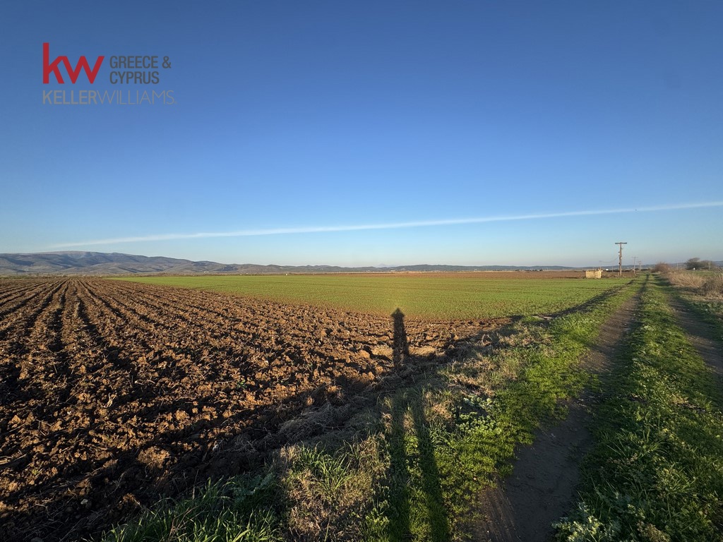2032745 - Αγροτεμάχιο Προς Πώληση, Φύλλο, 13.920 τ.μ., €30.000