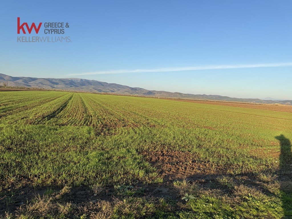 2032745 - Αγροτεμάχιο Προς Πώληση, Φύλλο, 13.920 τ.μ., €30.000