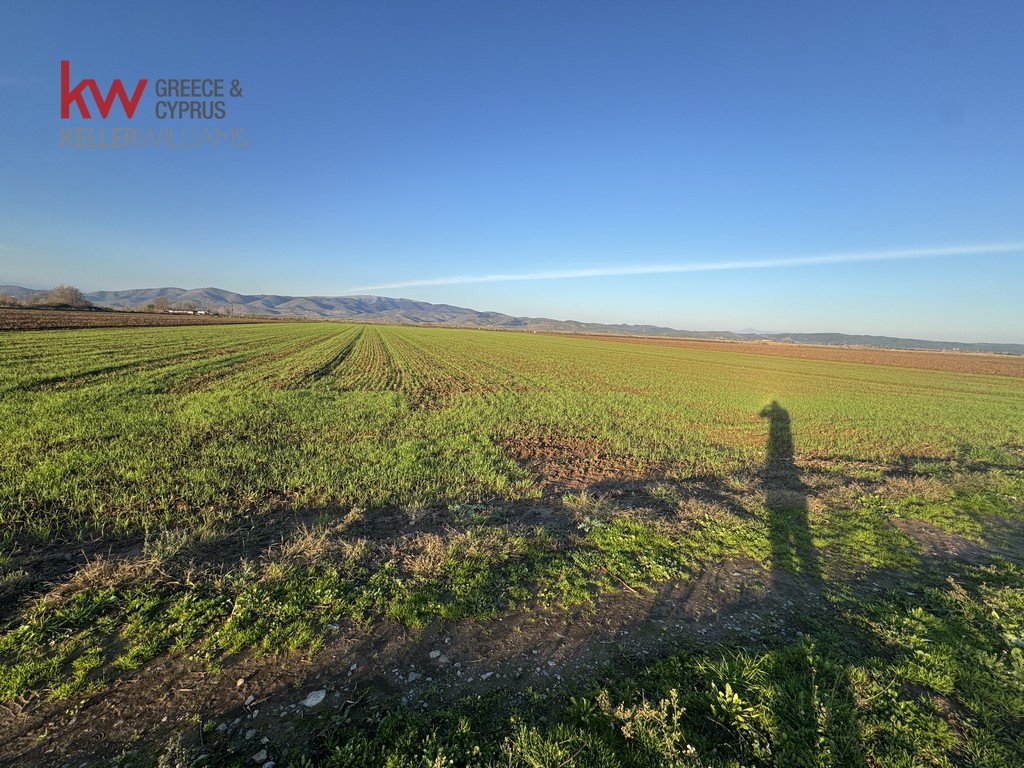 2032745 - Αγροτεμάχιο Προς Πώληση, Φύλλο, 13.920 τ.μ., €30.000