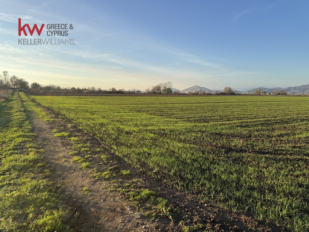 2032745 - Αγροτεμάχιο Προς Πώληση, Φύλλο, 13.920 τ.μ., €30.000