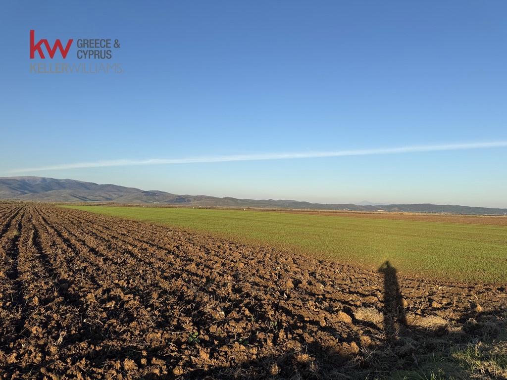 2032745 - Αγροτεμάχιο Προς Πώληση, Φύλλο, 13.920 τ.μ., €30.000