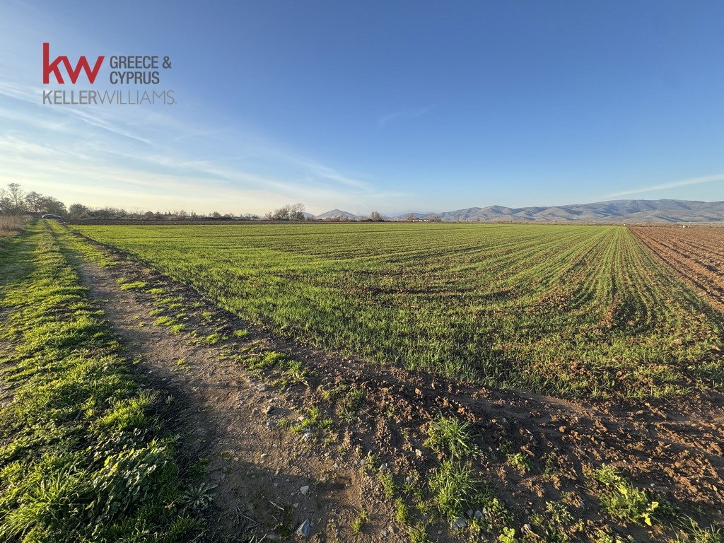 2032745 - Αγροτεμάχιο Προς Πώληση, Φύλλο, 13.920 τ.μ., €30.000