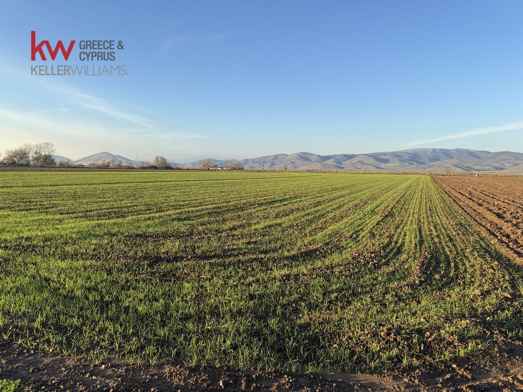 2032745 - Αγροτεμάχιο Προς Πώληση, Φύλλο, 13.920 τ.μ., €30.000