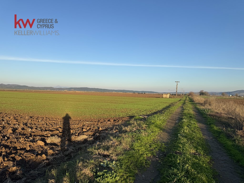 2032745 - Αγροτεμάχιο Προς Πώληση, Φύλλο, 13.920 τ.μ., €30.000