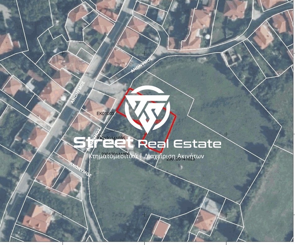 Street Real Estate