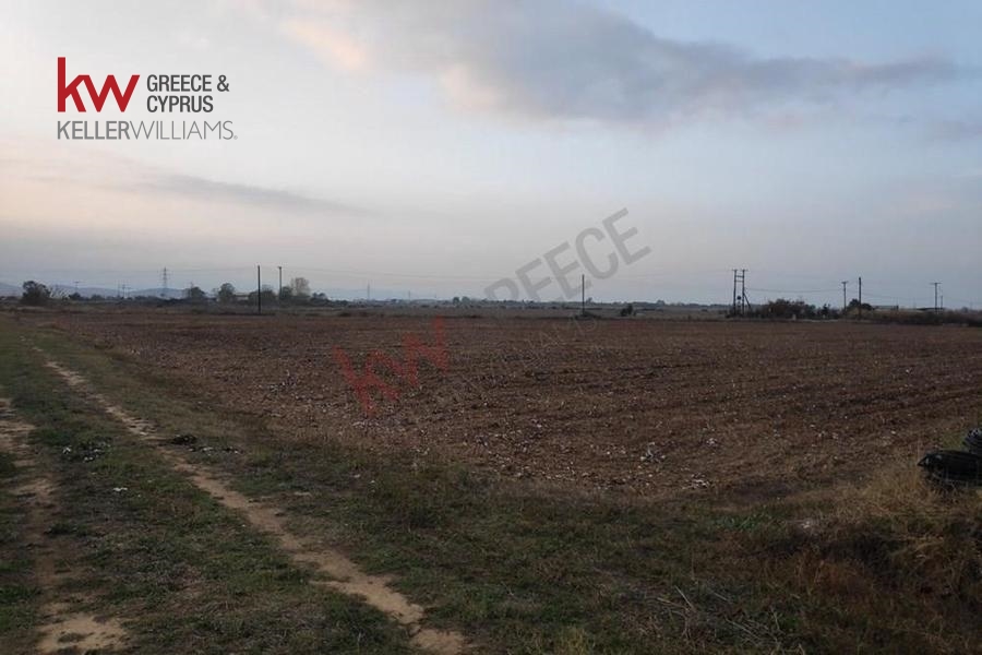 73591 - Αγροτεμάχιο Προς Πώληση, Καλλίφωνο, 5.500 τ.μ., €10.000