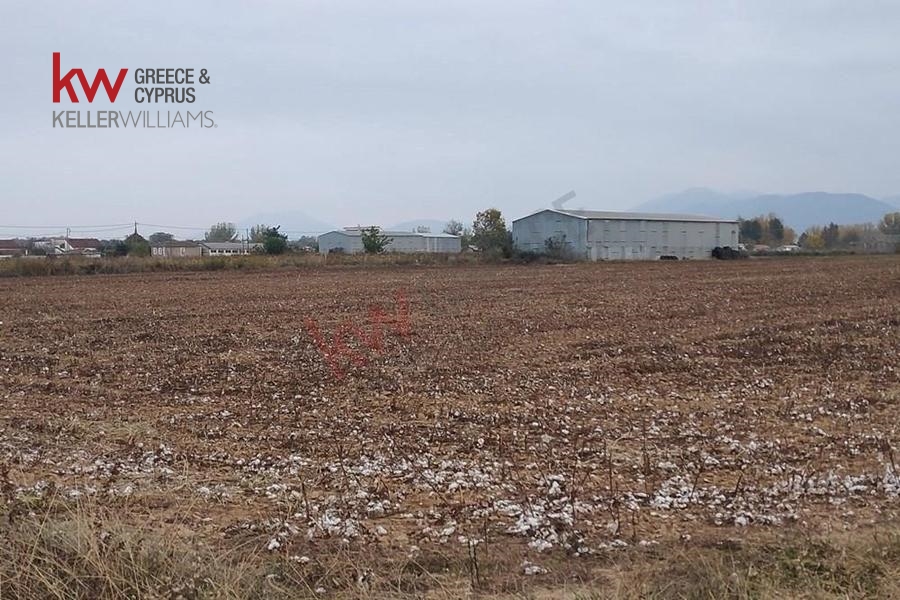 73591 - Αγροτεμάχιο Προς Πώληση, Καλλίφωνο, 5.500 τ.μ., €10.000