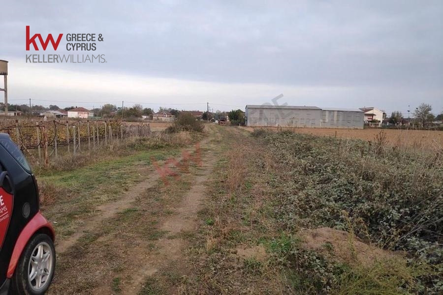 73591 - Αγροτεμάχιο Προς Πώληση, Καλλίφωνο, 5.500 τ.μ., €10.000