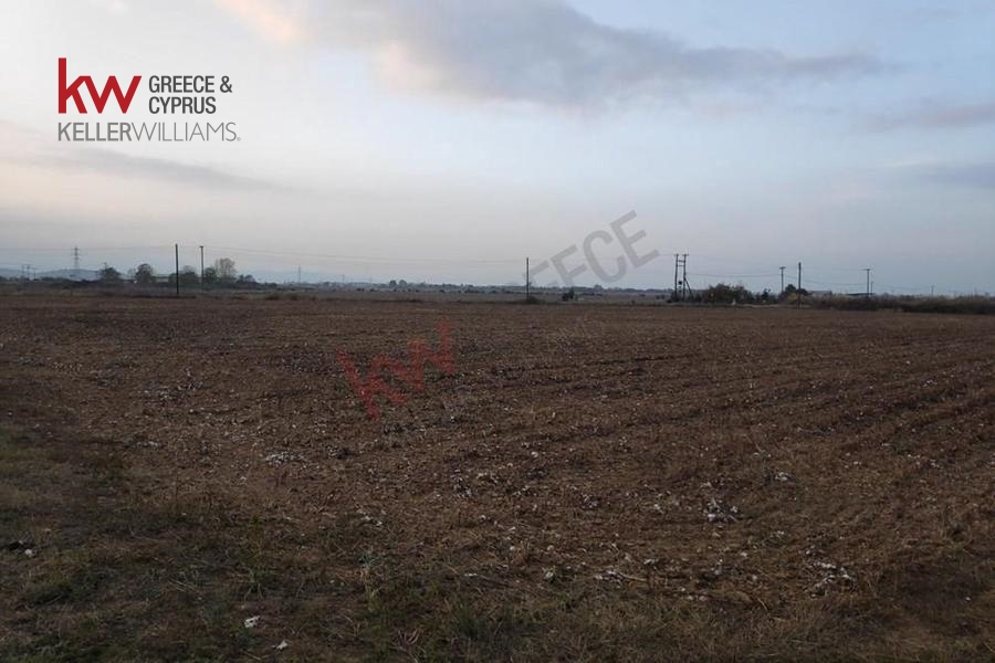73591 - Αγροτεμάχιο Προς Πώληση, Καλλίφωνο, 5.500 τ.μ., €10.000