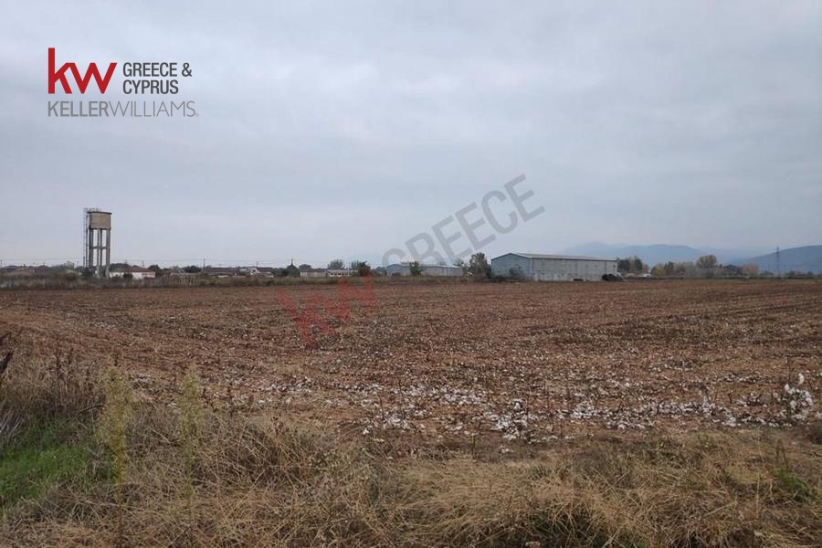 73591 - Αγροτεμάχιο Προς Πώληση, Καλλίφωνο, 5.500 τ.μ., €10.000