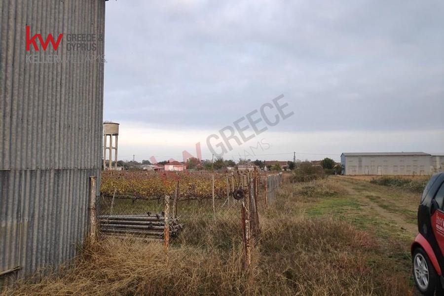 73591 - Αγροτεμάχιο Προς Πώληση, Καλλίφωνο, 5.500 τ.μ., €10.000