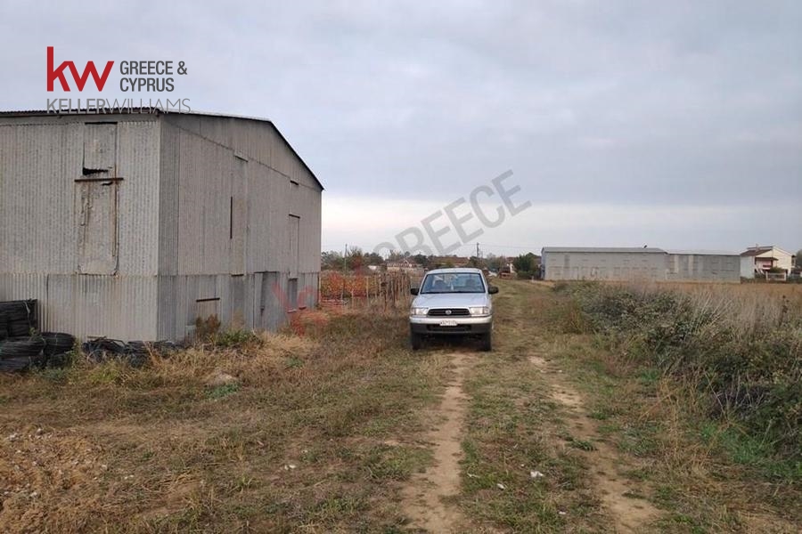 73591 - Αγροτεμάχιο Προς Πώληση, Καλλίφωνο, 5.500 τ.μ., €10.000