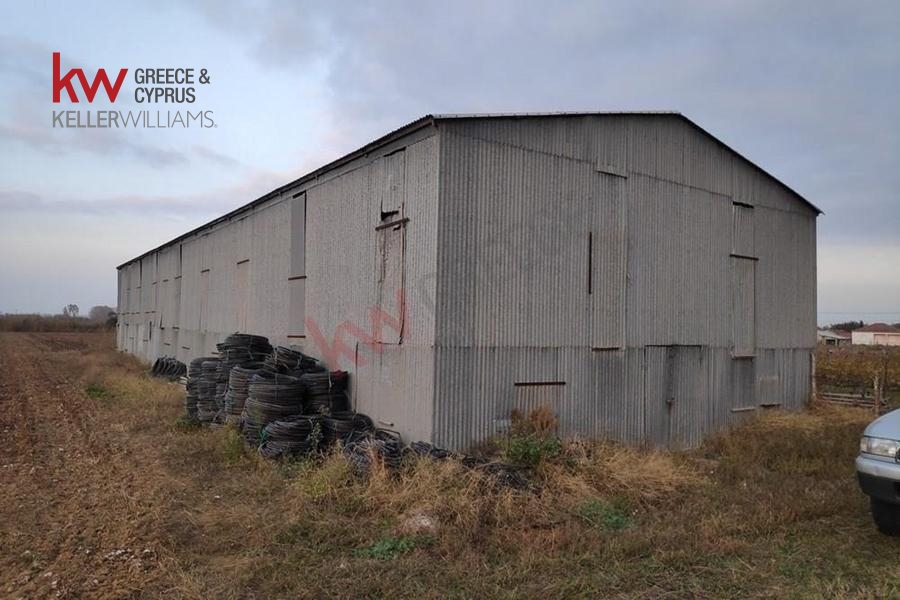 73591 - Αγροτεμάχιο Προς Πώληση, Καλλίφωνο, 5.500 τ.μ., €10.000