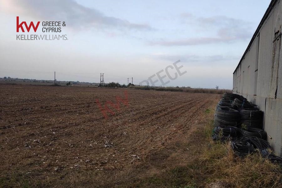 73591 - Αγροτεμάχιο Προς Πώληση, Καλλίφωνο, 5.500 τ.μ., €10.000