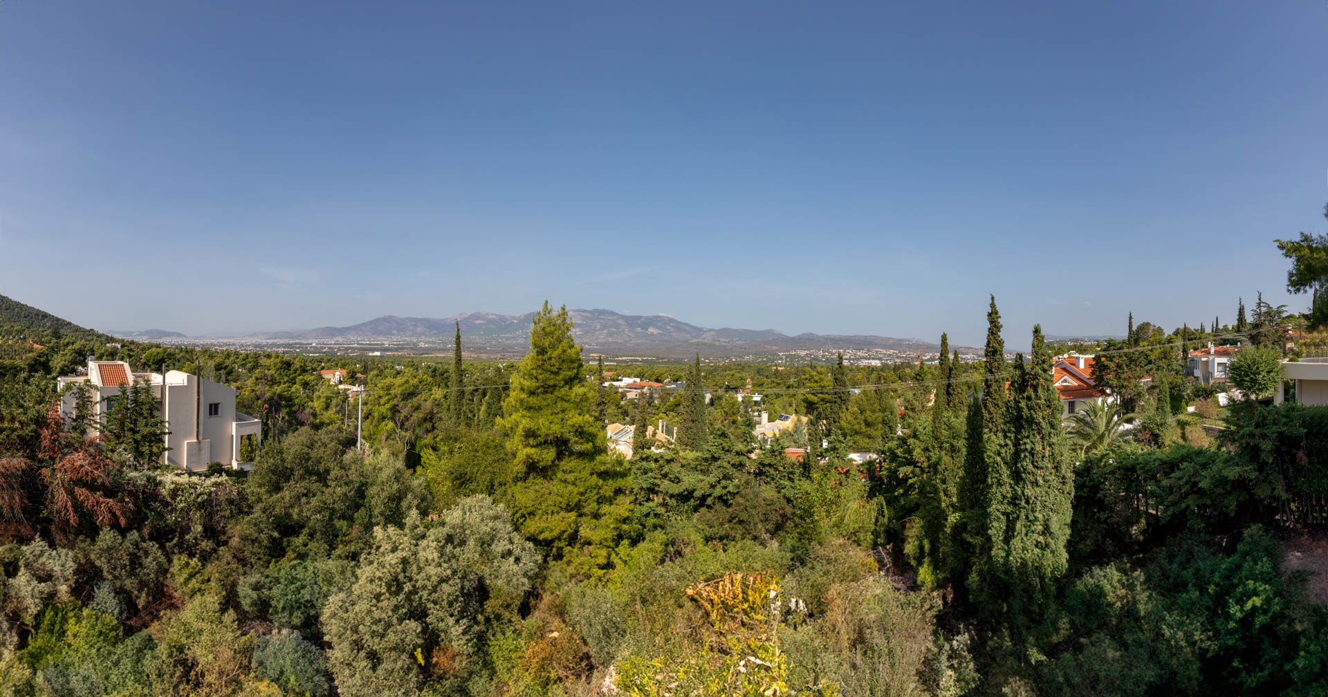 339ceba0358848c1b07810c9da7d47a1