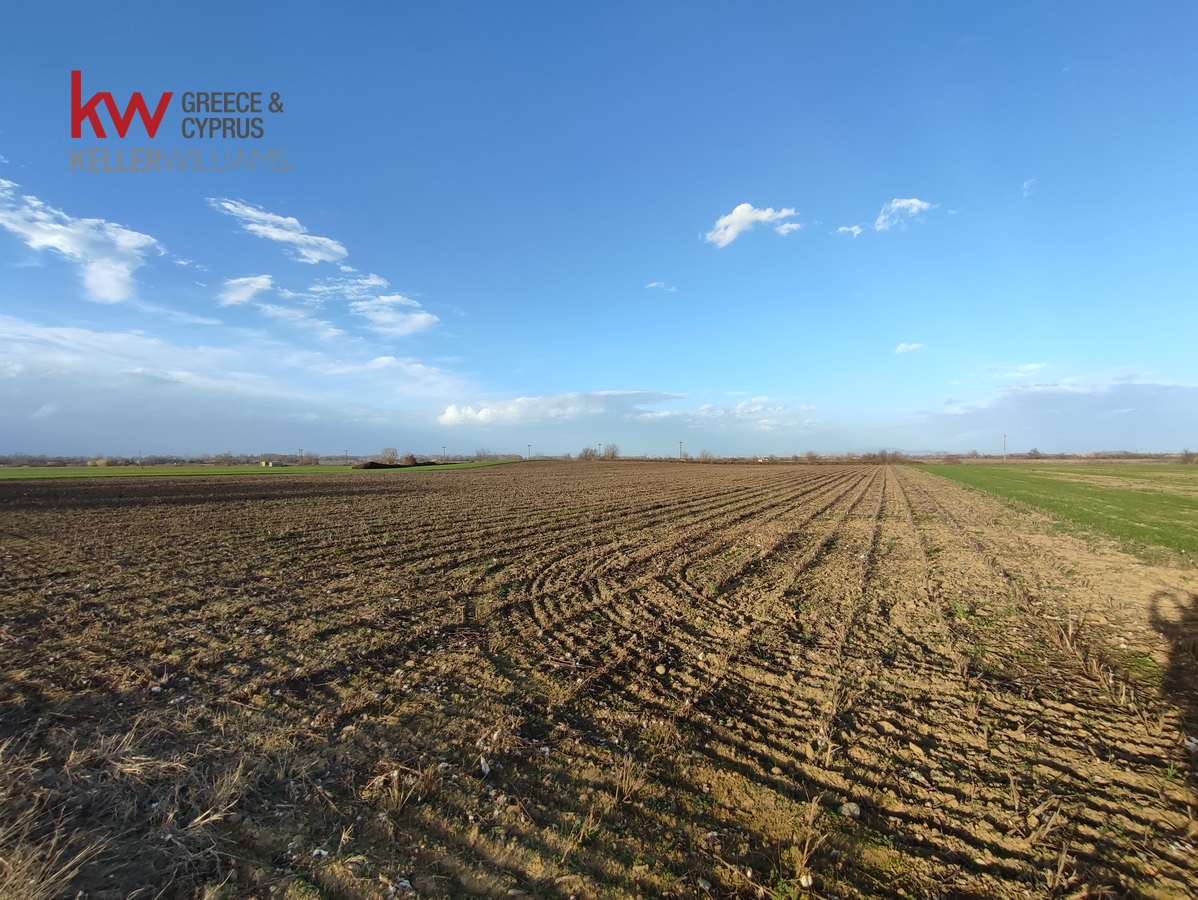 89670 - Αγροτεμάχιο Προς Πώληση, Ζαΐμι, 18.600 τ.μ., €22.000