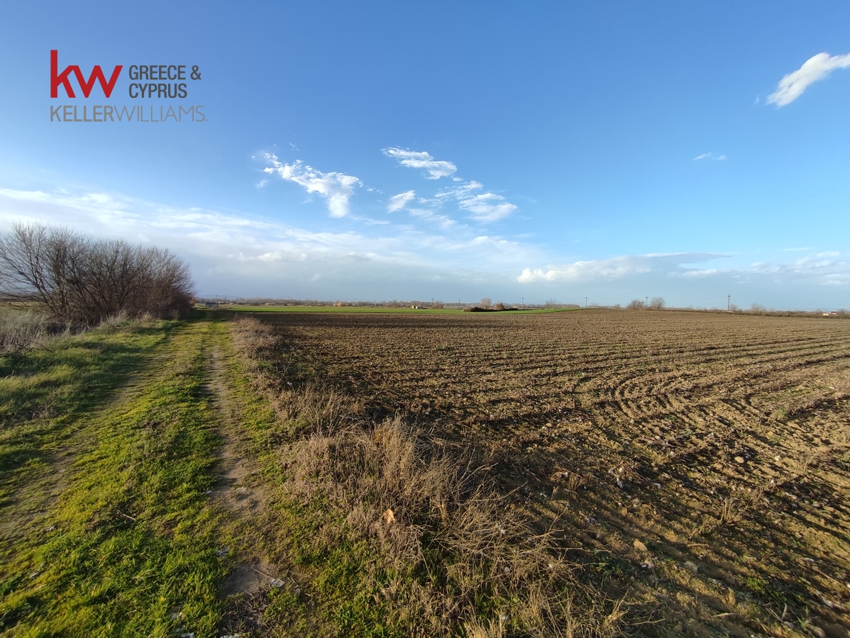 89670 - Αγροτεμάχιο Προς Πώληση, Ζαΐμι, 18.600 τ.μ., €22.000