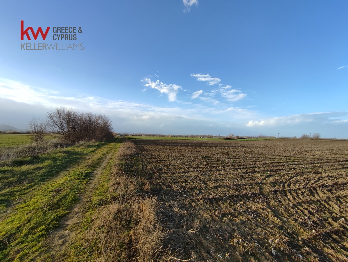 89670 - Αγροτεμάχιο Προς Πώληση, Ζαΐμι, 18.600 τ.μ., €22.000