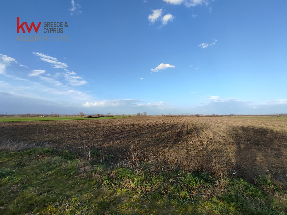 89670 - Αγροτεμάχιο Προς Πώληση, Ζαΐμι, 18.600 τ.μ., €22.000