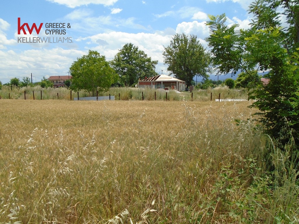 947767 - Αγροτεμάχιο Προς Πώληση, Μητρόπολη, 4.000 τ.μ., €14.500